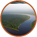 Orinoco