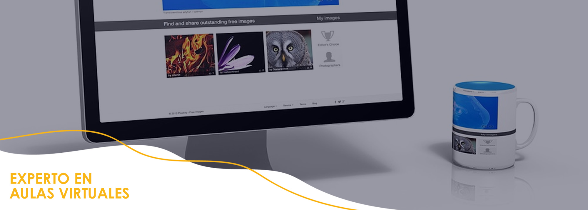 Becas para Experto en Aulas Virtuales