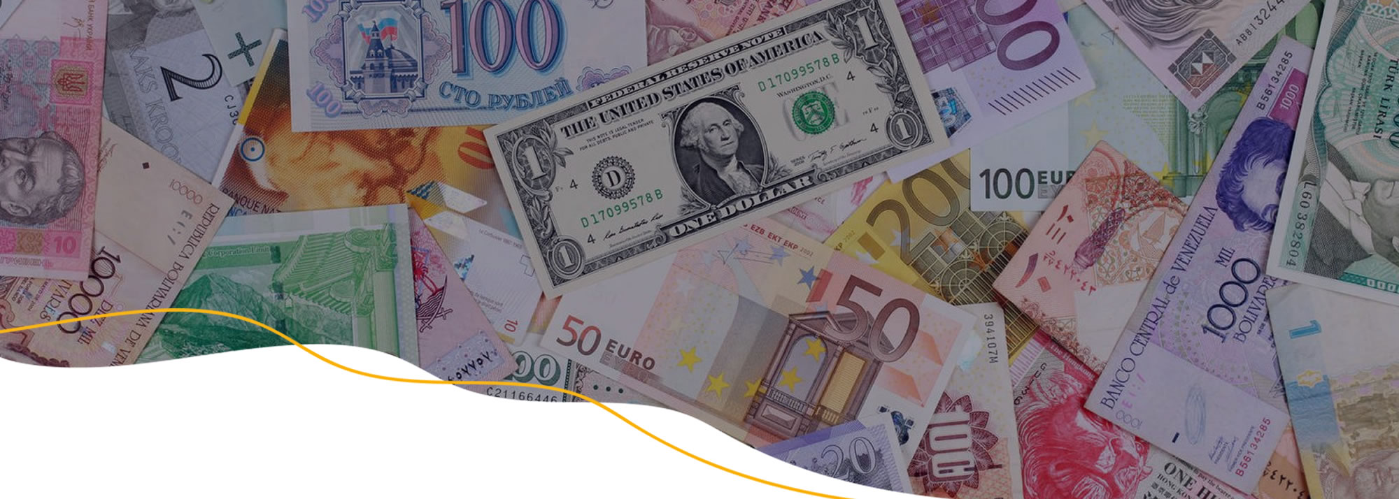 Divisas autorizadas