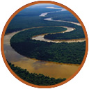 Amazonas