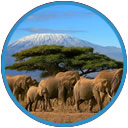 Kilimanjaro